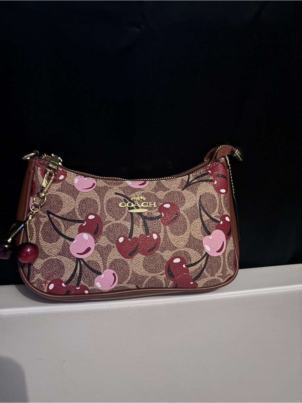 Coach Brown Signature Canvas Shoulder Bag with Pink & Red Cherry Print